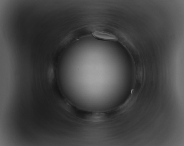 X0000100410128200806061349