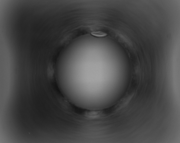 X0000100410129200806061349