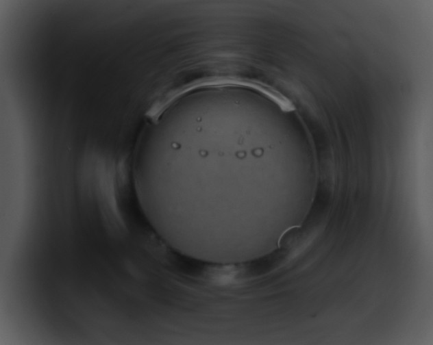 X0000100410131200806061349