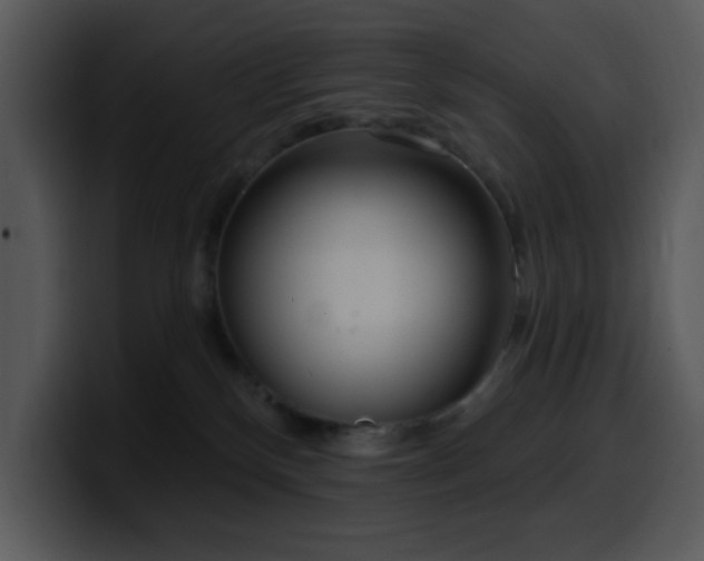 X0000100410136200806061349