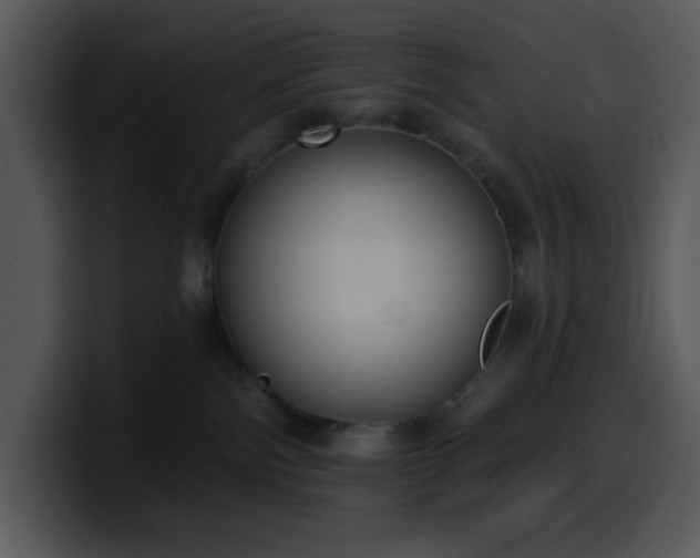 X0000100410138200806061349