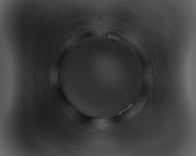 X0000100410139200806061349