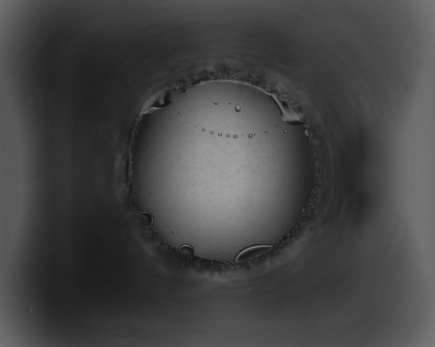 X0000100410144200806061349