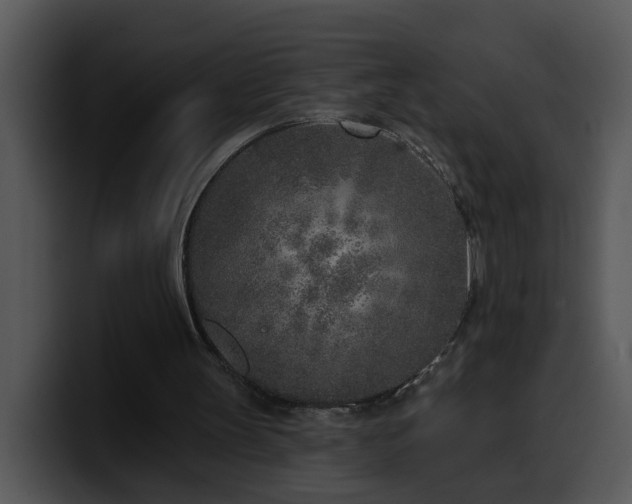 X0000100410147200806061349