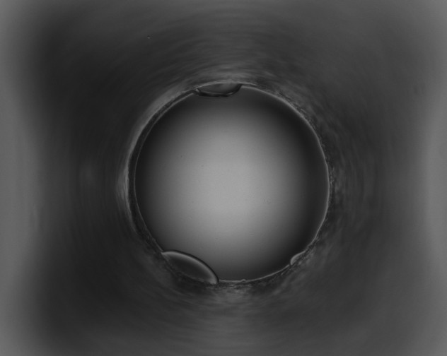 X0000100410148200806061349