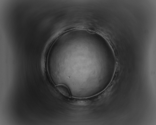 X0000100410149200806061349