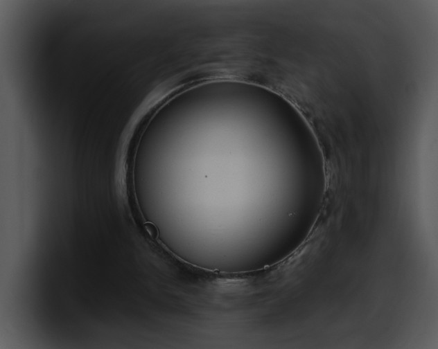 X0000100410150200806061349