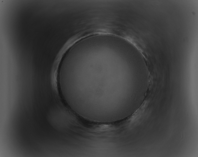 X0000100410151200806061349