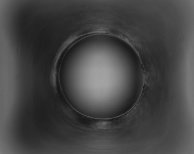 X0000100410152200806061349