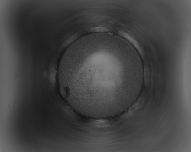 X0000100410153200806061349