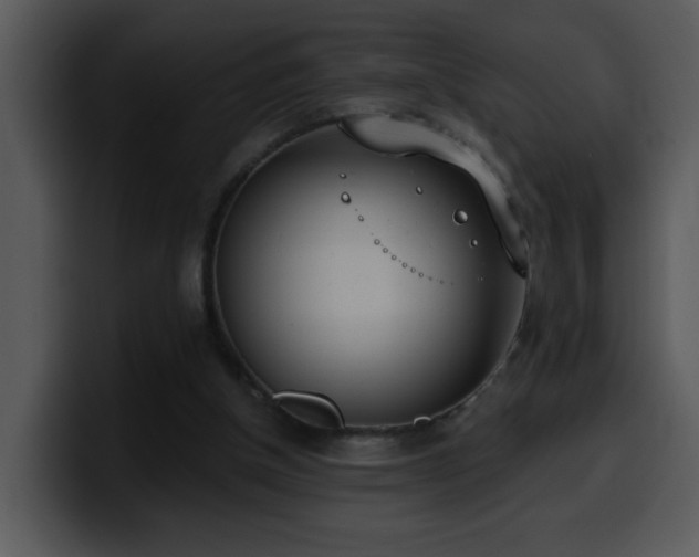 X0000100410154200806061349