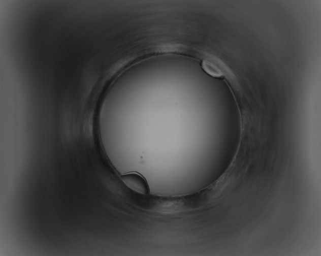 X0000100410155200806061349