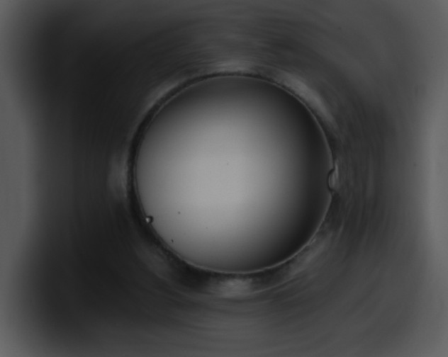 X0000100410156200806061349