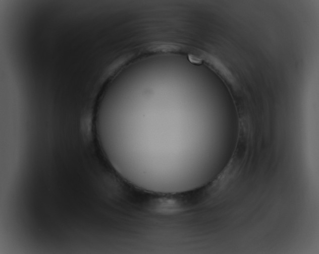 X0000100410159200806061349