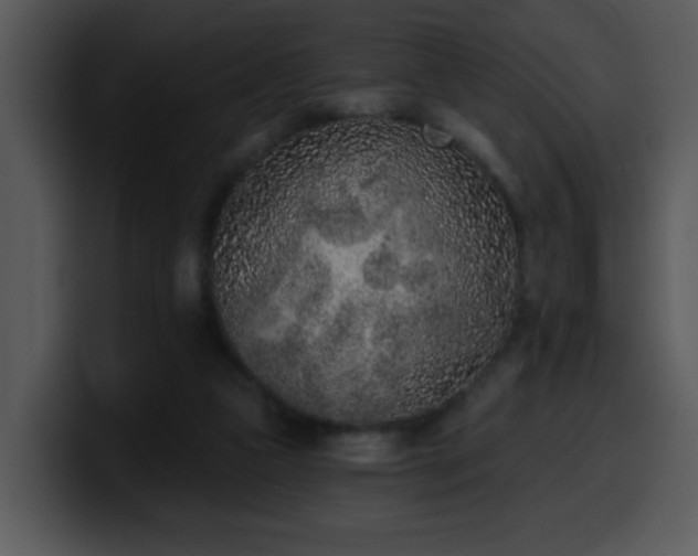 X0000100410161200806061349