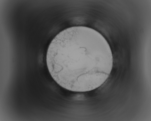 X0000100410162200806061349