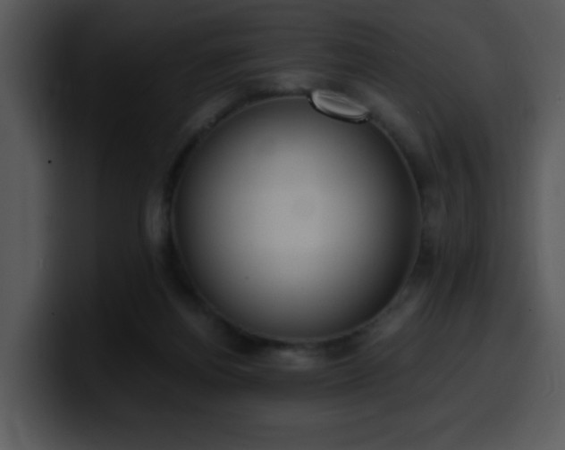 X0000100410164200806061349