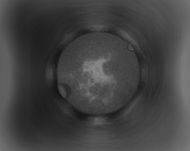 X0000100410165200806061349