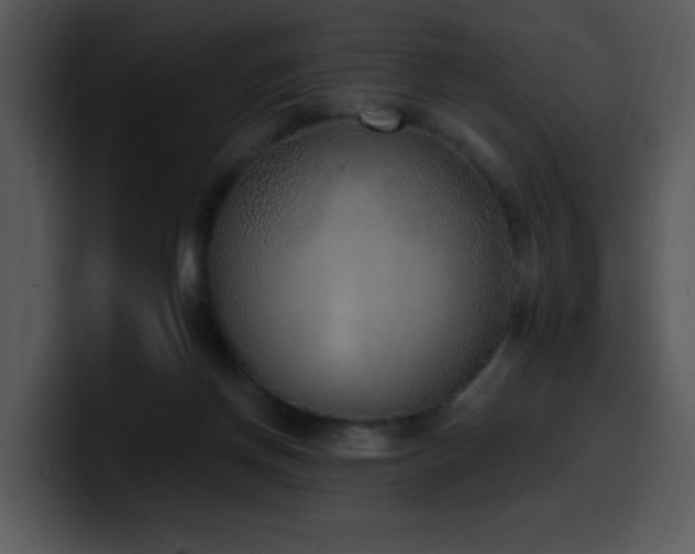 X0000100410166200806061349