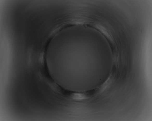 X0000100410167200806061349