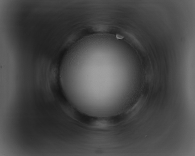 X0000100410171200806061349