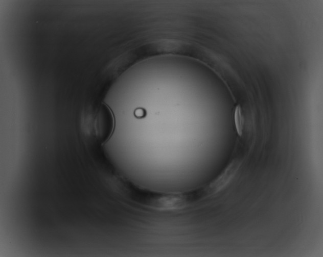 X0000100410172200806061349