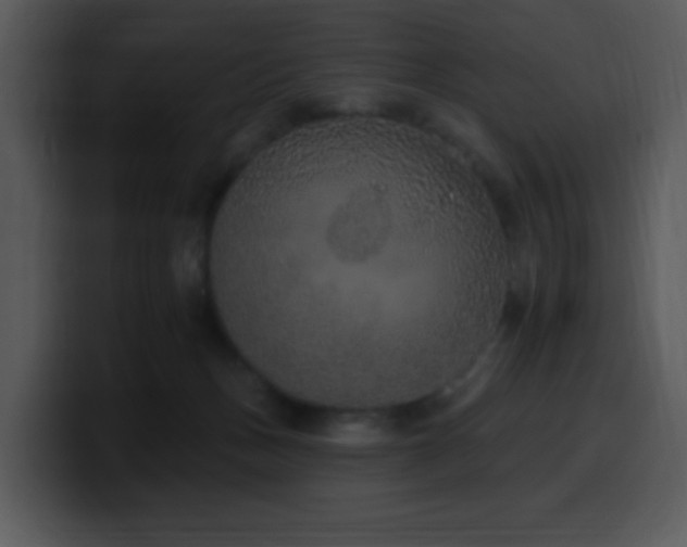 X0000100410175200806061349