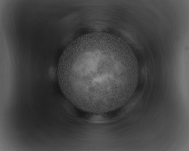 X0000100410177200806061349