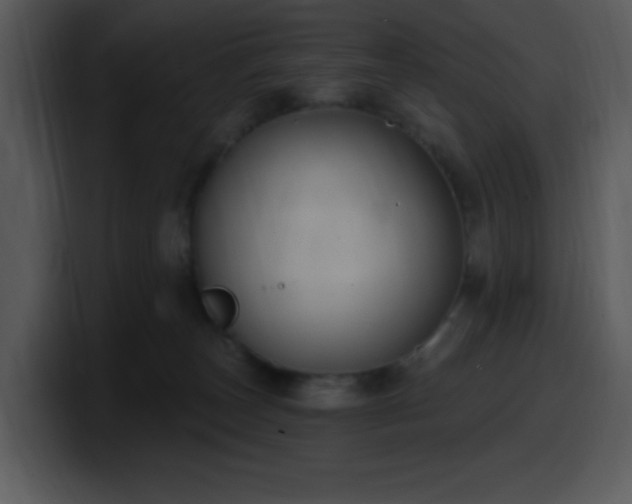 X0000100410179200806061349