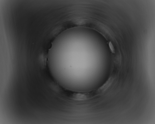 X0000100410180200806061349