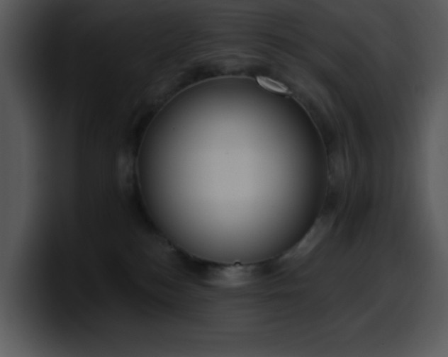 X0000100410184200806061349