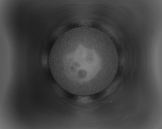 X0000100410185200806061349