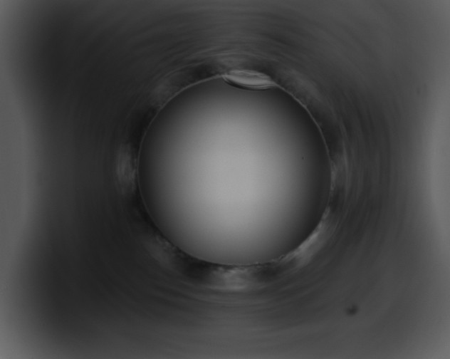 X0000100410186200806061349