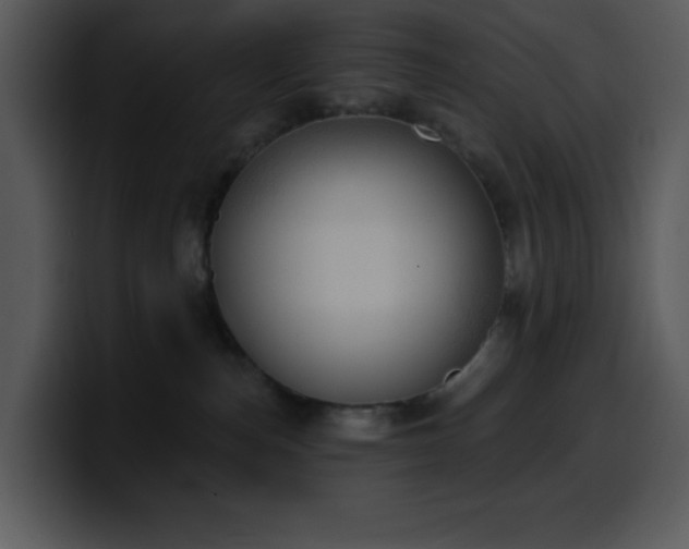 X0000100410187200806061349