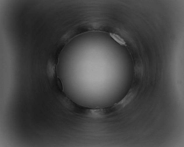 X0000100410188200806061349