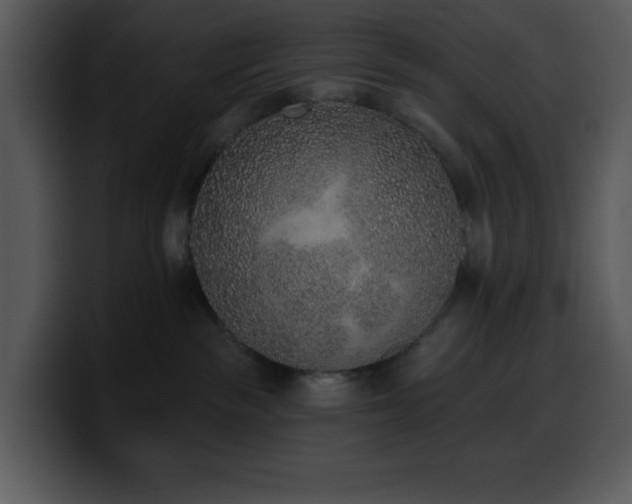 X0000100410189200806061349