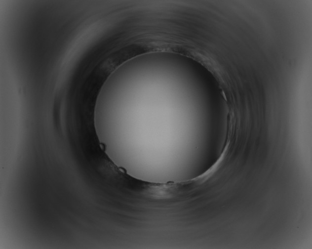 X0000100410190200806061349