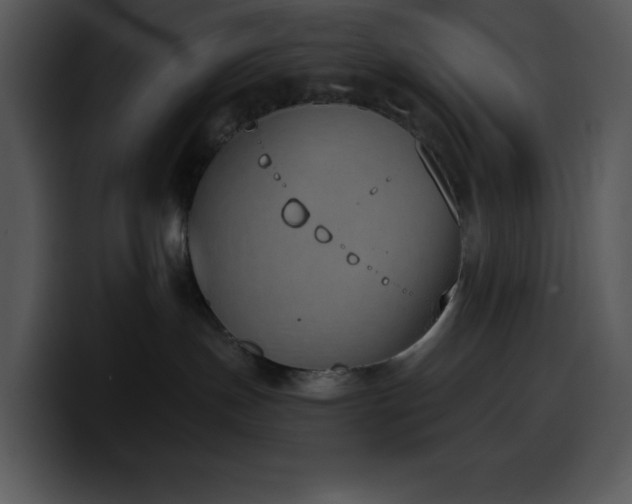 X0000100410191200806061349