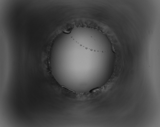 X0000100410192200806061349