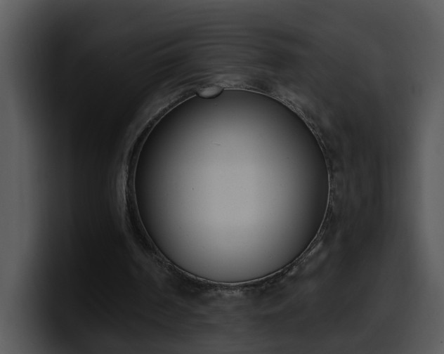 X0000100410194200806061349