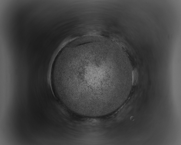 X0000100410195200806061349