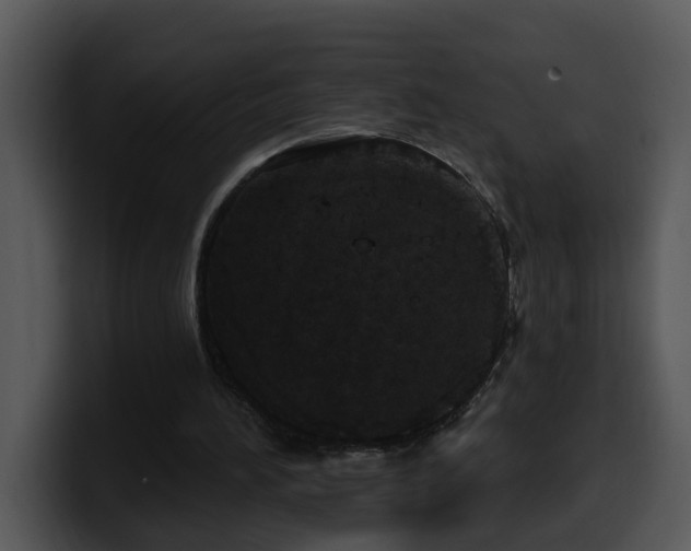 X0000100410196200806061349