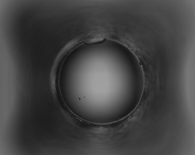 X0000100410197200806061349