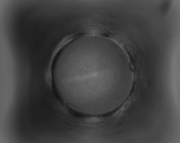 X0000100410198200806061349