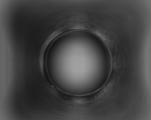 X0000100410199200806061349