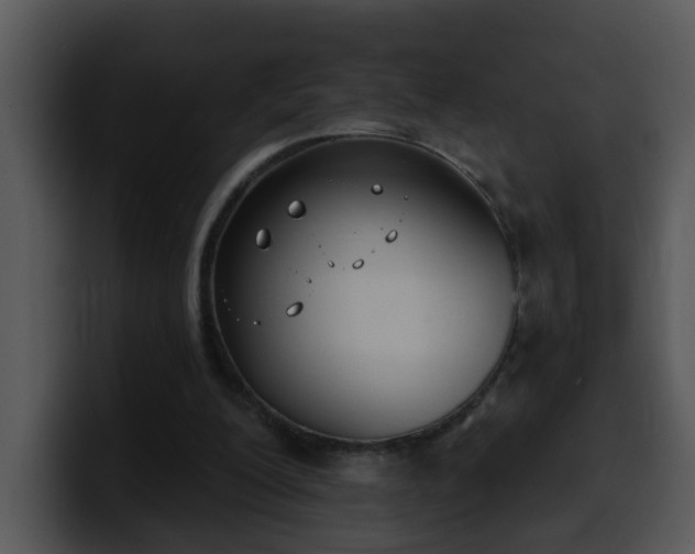 X0000100410200200806061349