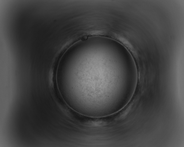 X0000100410201200806061349