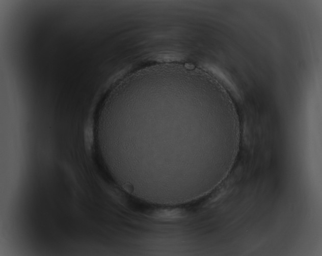 X0000100410202200806061349