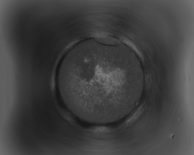 X0000100410203200806061348