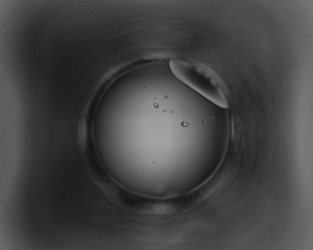 X0000100410204200806061348